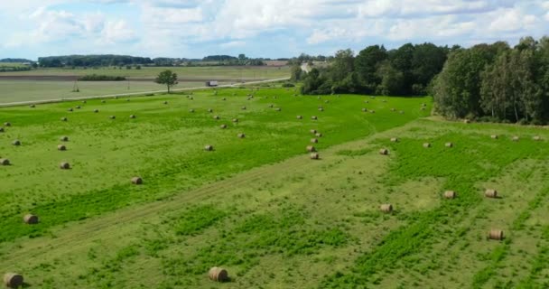 Vzdušné Drone Pohled Seno Pšeničném Poli Obklopený Lesy Slunný Letní — Stock video