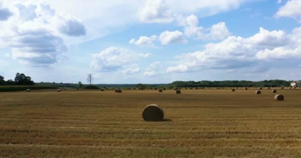 Воздушные Беспилотники Вид Серого Рулона Пшеничном Поле Окруженный Лесами Солнечный — стоковое видео