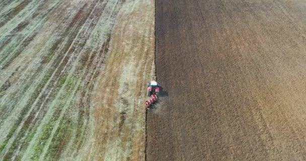 Drohne Von Erntefeld Mit Traktor Mäht Trockenes Gras Herbstgelbes Feld — Stockvideo