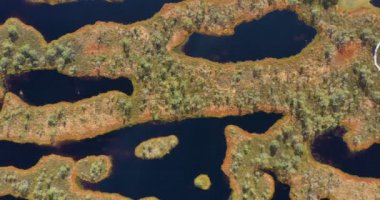 İHA 'dan hava atışı. Adaları ve gölü olan güzel bir manzara. Turkuaz su ve kozalaklı ormanları ve vahşi plajları olan güzel dolambaçlı kıyılar..