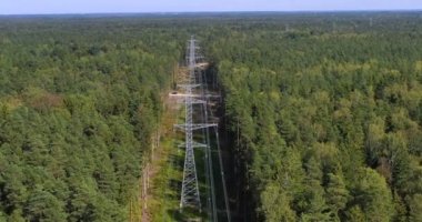 Ormandaki elektrik hatları kulesi. Peyzaj manzaralı elektrik kulesi hattı. Elektrik ve çevresel problem kavramı. Ariel görünümü Yüksek voltaj güç pilonları.
