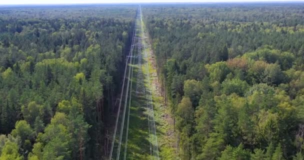 森の中の送電線の塔 電気と環境問題の概念と景観ビューの電気タワーライン アリエルビュー高電圧パワーパイロン — ストック動画