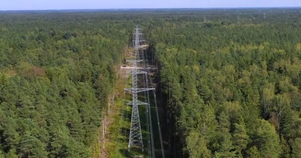 森の中の送電線の塔 電気と環境問題の概念と景観ビューの電気タワーライン アリエルビュー高電圧パワーパイロン — ストック動画