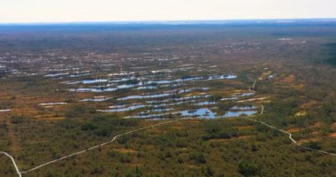 İHA 'dan hava atışı. Adaları ve gölü olan güzel bir manzara. Turkuaz su ve kozalaklı ormanları ve vahşi plajları olan güzel dolambaçlı kıyılar..