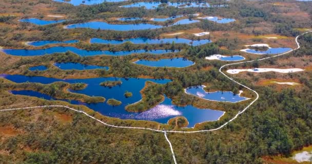 Disparos Aéreos Desde Dron Hermoso Paisaje Con Islas Lago Agua — Vídeos de Stock