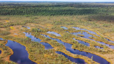 Hava manzarası: yeşil ormanları çevreleyen nehirler ve göller.