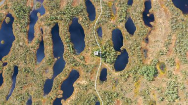 Hava manzarası: yeşil ormanları çevreleyen nehirler ve göller.