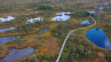 İHA 'dan hava atışı. Adaları ve gölü olan güzel bir manzara. Turkuaz su ve kozalaklı ormanları ve vahşi plajları olan güzel dolambaçlı kıyılar..