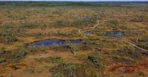 Luftaufnahme Flüsse Und Seen Die Grüne Wälder Umgeben — Stockvideo