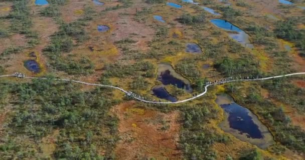 空中ビュー 緑の森を囲む川や湖 — ストック動画