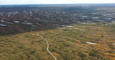 Hava manzarası: yeşil ormanları çevreleyen nehirler ve göller.