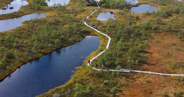 Flygfoto Floder Och Sjöar Som Omger Gröna Skogar — Stockvideo