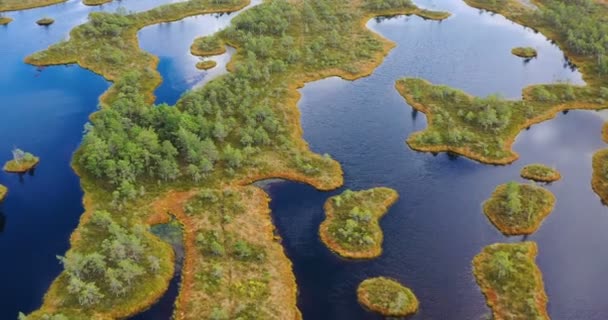 空中景观 环绕绿色森林的河流和湖泊 — 图库视频影像