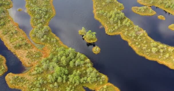Aerial View Rivers Lakes Surround Green Forests — Stock Video