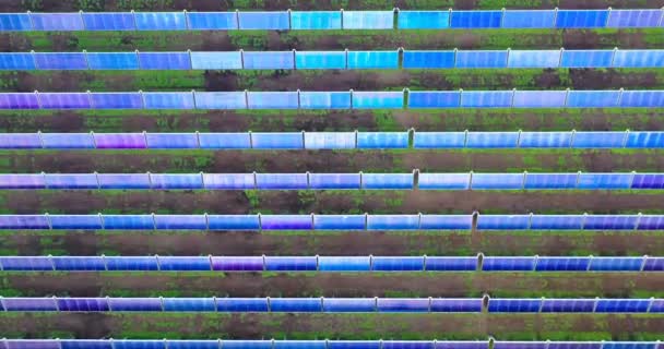 Ariel的观点是 从农场的无人飞机上发射的 有很多太阳能电池板可以生产环境能源 概念来源 — 图库视频影像