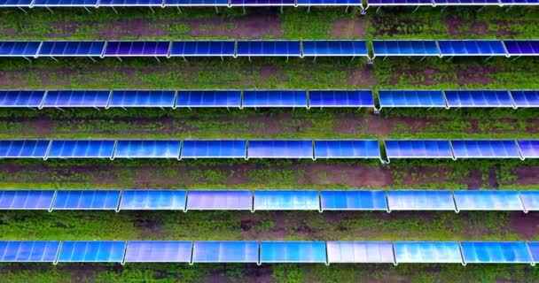 Vue Ariel Tourné Partir Drone Sur Champ Agricole Beaucoup Panneaux — Video