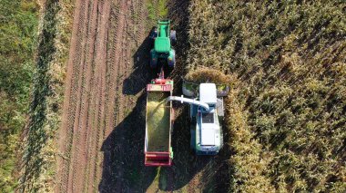 Mısırı römorklara yükleyen hasat makinesinin hava görüntüsü. Modern hasat makinesinin traktör römorklarına mısır yüklerken çekilmiş görüntüsü. Çekici, Hasat, İnsansız Hava Aracı, Eko.