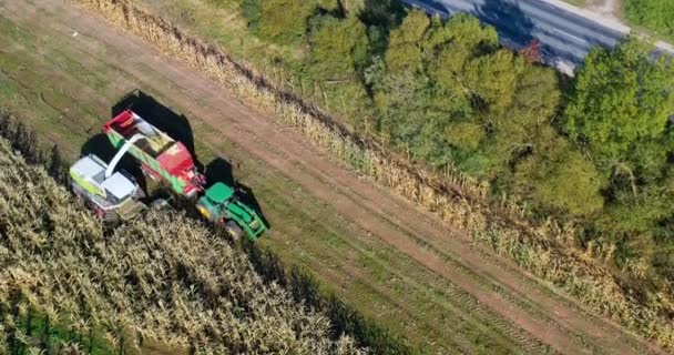Luftaufnahme Von Erntemaschinen Die Mais Auf Anhänger Verladen Luftaufnahme Von — Stockvideo