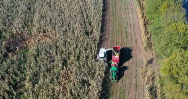 Tiro Aéreo Cosechadora Cargando Maíz Remolques Aerial Shot Modern Harvester — Vídeo de stock