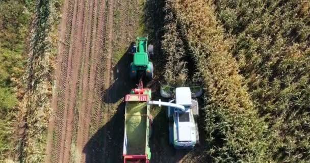 Vue aérienne de la moissonneuse chargeant du maïs sur des remorques. Vue aérienne d'une moissonneuse moderne chargeant du maïs sur des semi-remorques. Concept de : Tracteur, Récolte, Drone, Eco.