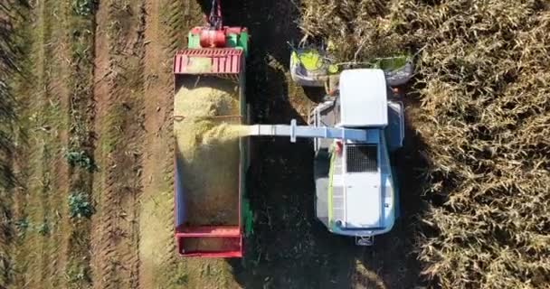 Vue aérienne de la moissonneuse chargeant du maïs sur des remorques. Vue aérienne d'une moissonneuse moderne chargeant du maïs sur des semi-remorques. Concept de : Tracteur, Récolte, Drone, Eco.