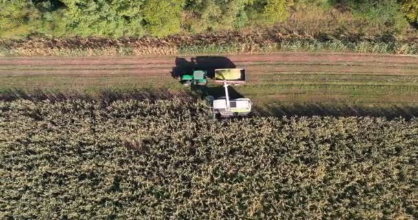 从空中拍摄的收割机把玉米装上拖车 现代收割机在拖拉机挂车上卸下玉米的航拍 拖拉机 — 图库视频影像