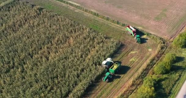 Aerial Shot Harvester Loading Corn Trailers Aerial Shot Modern Harvester — Stock Video