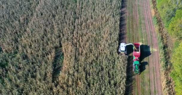 Luftaufnahme Von Erntemaschinen Die Mais Auf Anhänger Verladen Luftaufnahme Von — Stockvideo