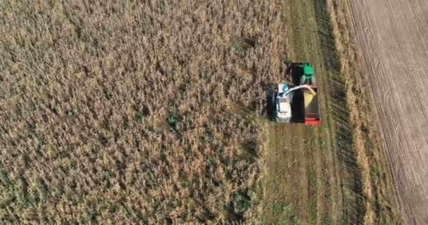 Tiro Aéreo Colheitadeira Carregando Milho Reboques Tiro Aéreo Colheitadeira Moderna — Vídeo de Stock