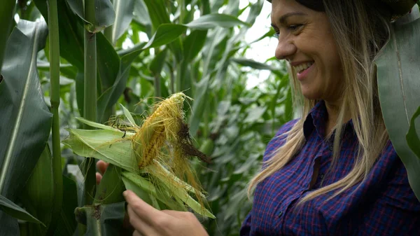 Buğday hasadında güzel, şık bir kadının portresi..