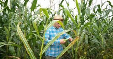 Çiftçi, meraklı kadınını sırtında taşırken doğanın tadını çıkarıyor..