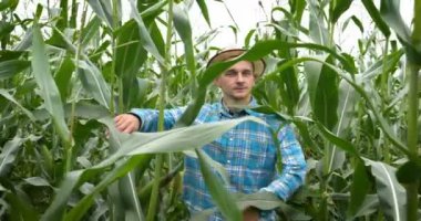 Çiftçi, meraklı kadınını sırtında taşırken doğanın tadını çıkarıyor..