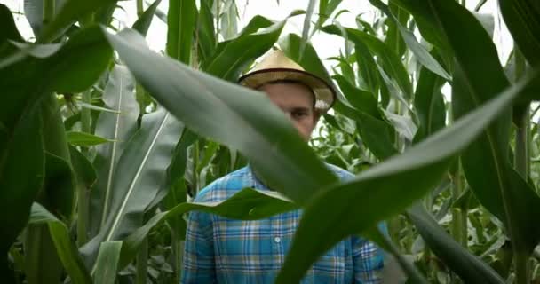 Agricultor Carregando Nos Ombros Sua Mulher Curiosa Enquanto Desfruta Dia — Vídeo de Stock