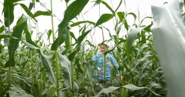 Farmer Cipeli Vállát Furcsa Miközben Élvezi Napot Természetben — Stock videók