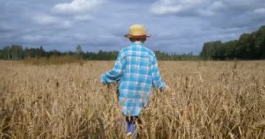 Buğday tarlasında koşan mutlu çocuk. Hasattan önce. Doğanın ve hayatın tadını çıkar. Mutlu bir çocukluk. Tarım, küçük çiftçi.