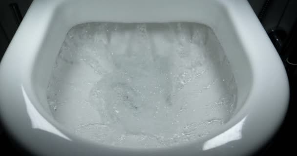 Toilettes Chasse Eau Eau Chasse Les Toilettes Écoulement Eau Est — Video