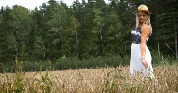 Portret Van Een Mooie Modieuze Vrouw Een Veld Van Tarweoogst — Stockvideo