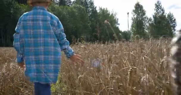 Chico Feliz Corriendo Campo Trigo Antes Cosechar Disfruta Naturaleza Vida — Vídeos de Stock