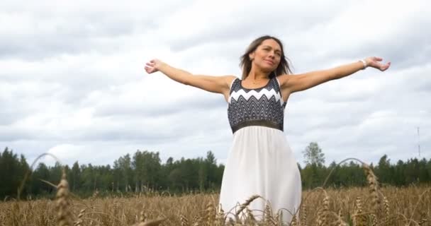 Retrato Una Hermosa Mujer Moda Campo Cosecha Trigo — Vídeos de Stock