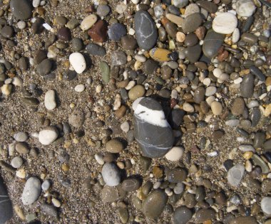 Islak renkli taşlar sahilde güneşlenmek