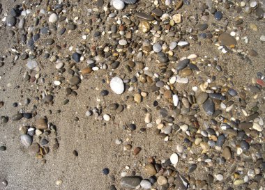 Islak renkli taşlar sahilde güneşlenmek