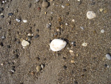 Islak renkli taşlar sahilde güneşlenmek