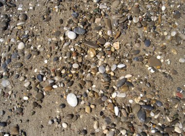 Islak renkli taşlar sahilde güneşlenmek