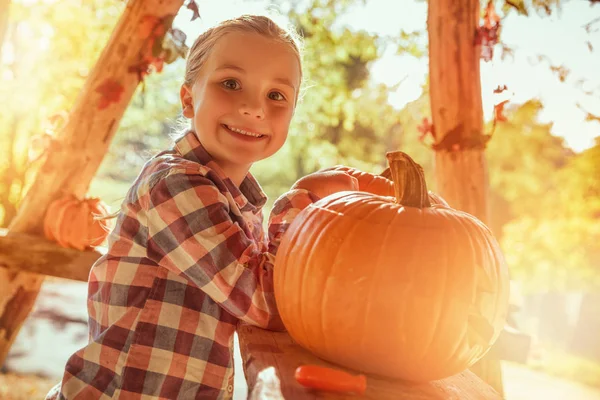 Halloween — Stock Photo, Image