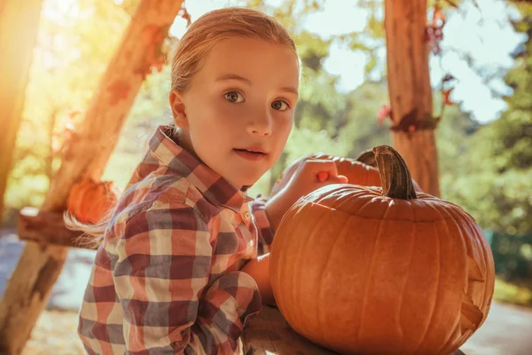 Halloween. —  Fotos de Stock