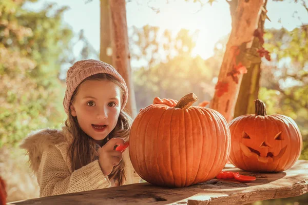 Halloween. —  Fotos de Stock