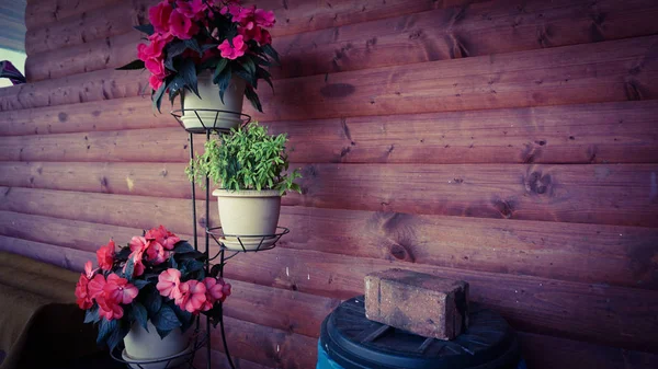 Fleurs Dans Des Pots Scène Porche Bois — Photo