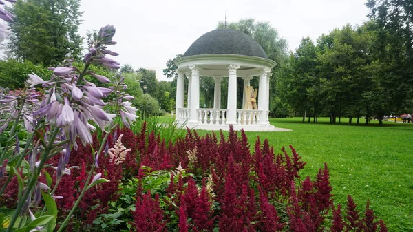 Casa Verano Vista Través Flores Florecientes Parque — Foto de Stock