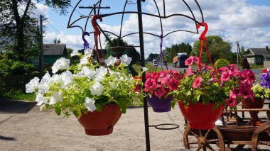 Çiçeklik çiçek açan çiçekler şemsiye heykel ile asılı 