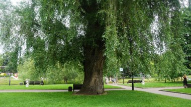Moskova, Rusya - 14 Temmuz 2017: Gorky park ücretsiz giriş kamu olay Moskova Şehir Günü kutlaması.
